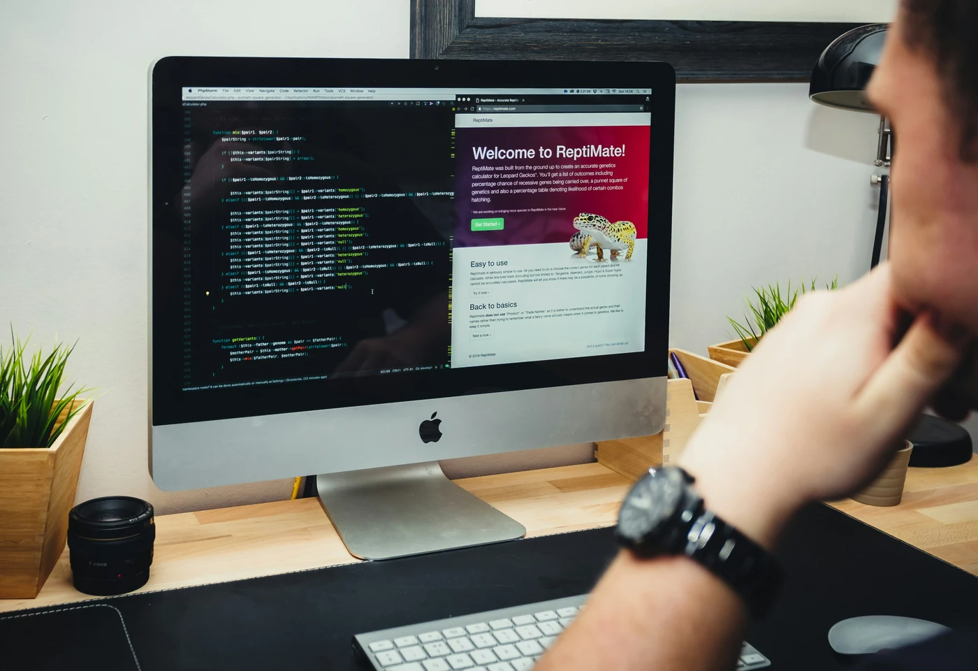 Website Design & Development